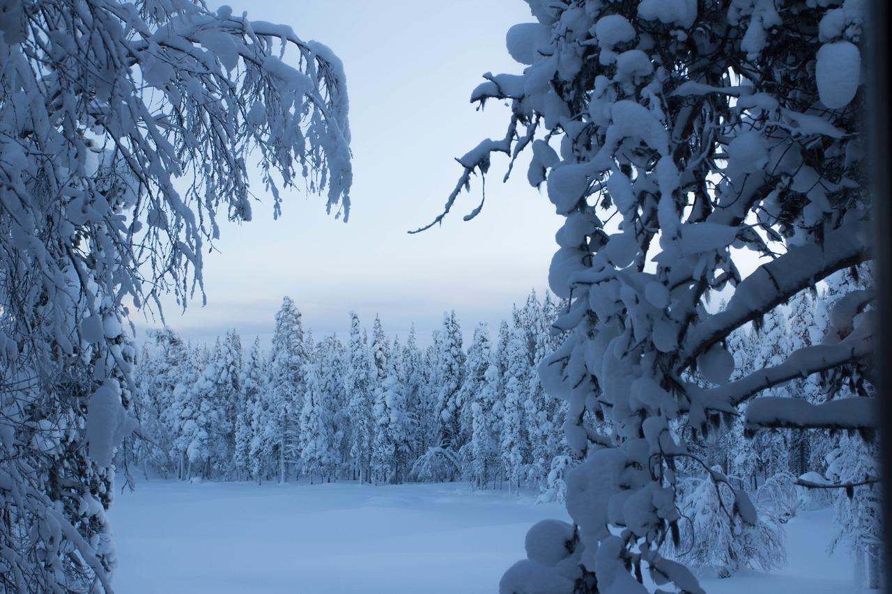 Javri Lodge Saariselka Kültér fotó